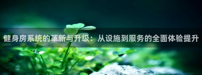 龙8国际总代理