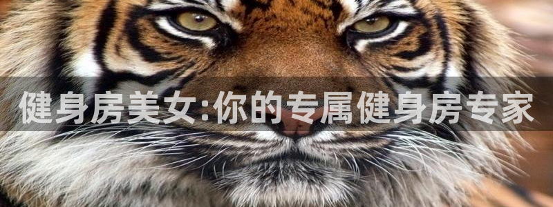 龙8国际网址是什么