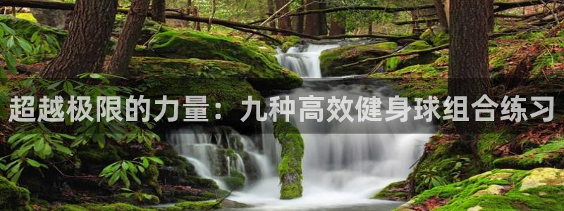 龙8老虎机网络游戏