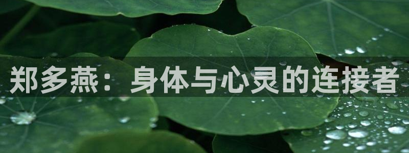 龙8国际安卓版版