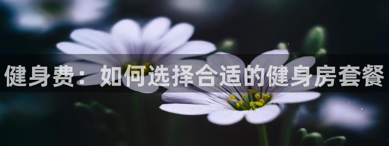龙八国际网页