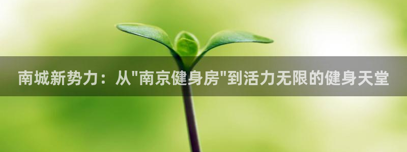 下载龙八国际官网