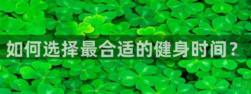 国际龙8官网pt客户端下载