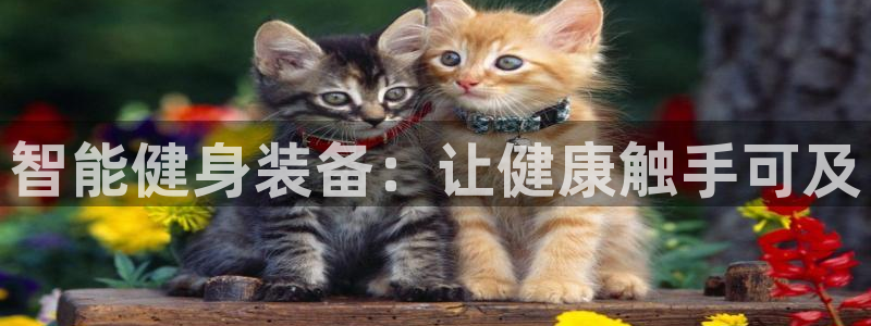 龙8国际pt网址