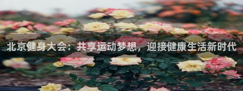 龙8国际安卓官方版fxzls-1.2.1 -安卓