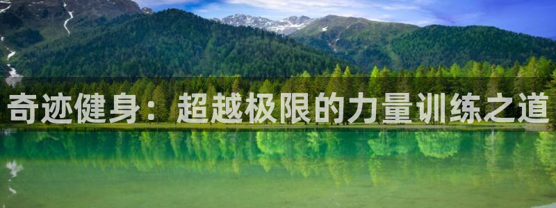 龙8国际平台官网