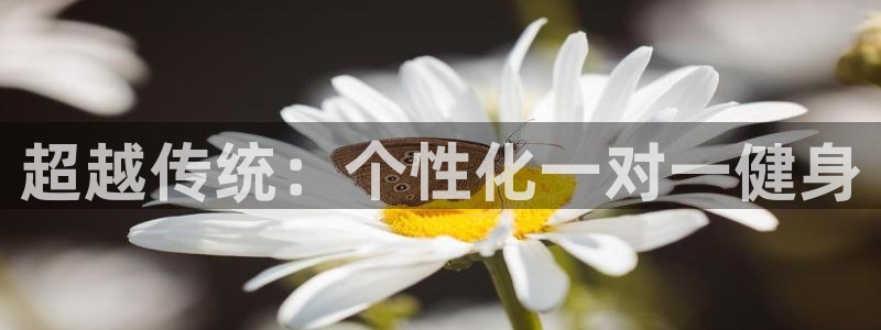 龙8国际2021年4.15更新版baoli