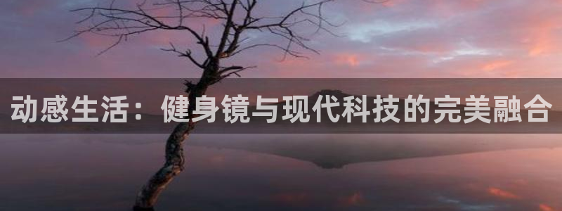 龙八国际下载链接