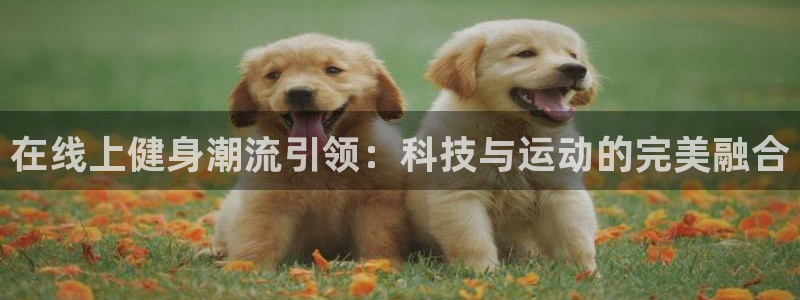 龙8国际手机游戏官网
