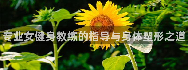 龙8国际官方网手机版下载安装