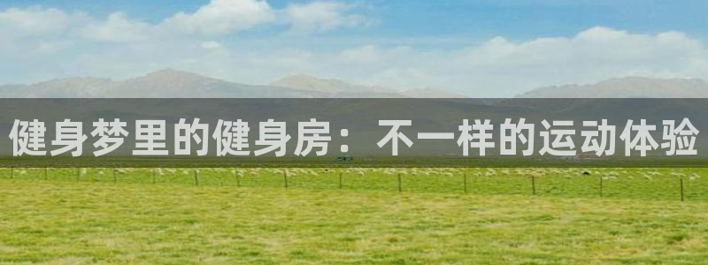 龙8国际手机版官网下载