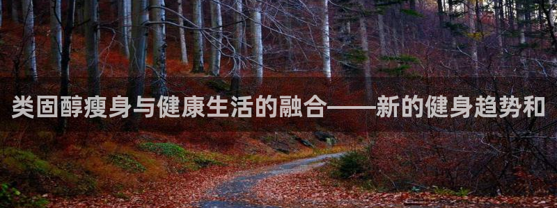 龙八国际app客户端下载不了