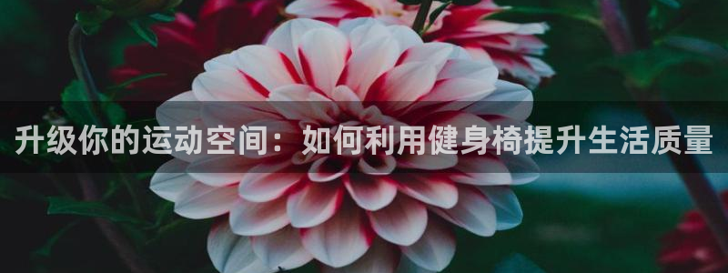 龙八棋牌