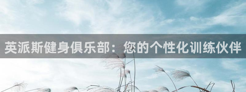 龙8电子游艺网址多少