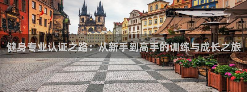 龙8国际手机登