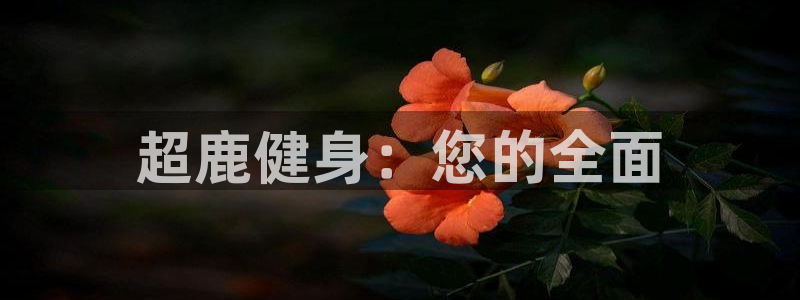 龙8手机游戏官网