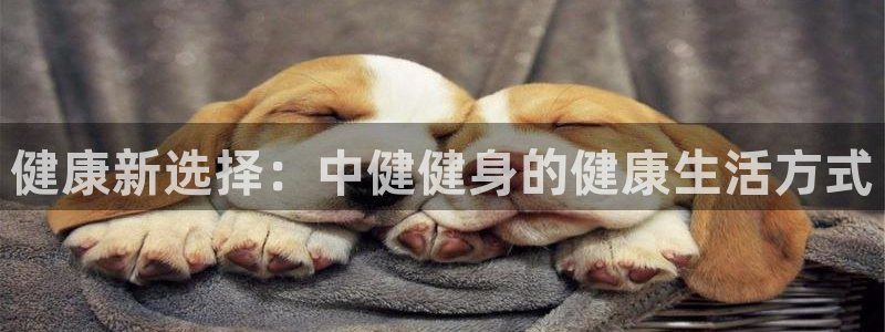 龙8国际网站怎么样