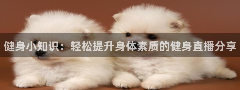 龙8国际官网app下载