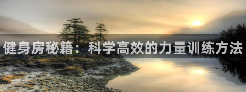 龙8娱乐国际城