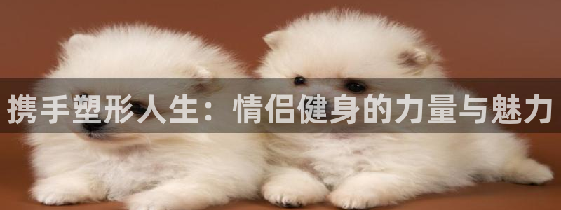 龙八国际网页
