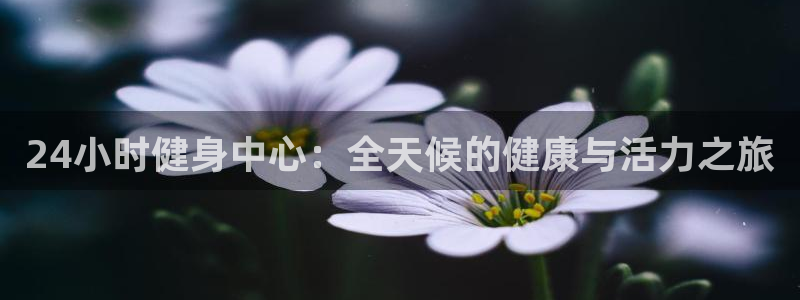 龙8国际官方平台