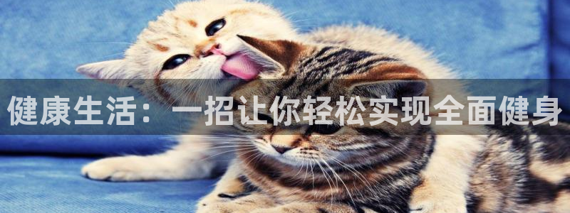 龙8国际官网app下载