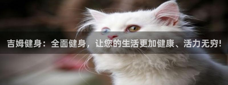 龙8全新客户端安卓版