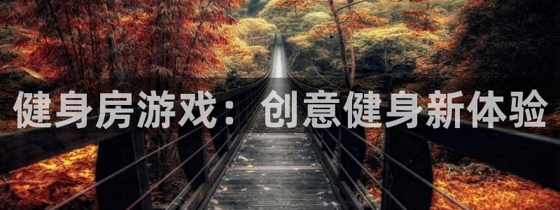龙8游戏官网