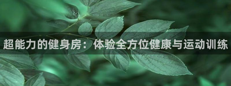 龙8棋牌官网