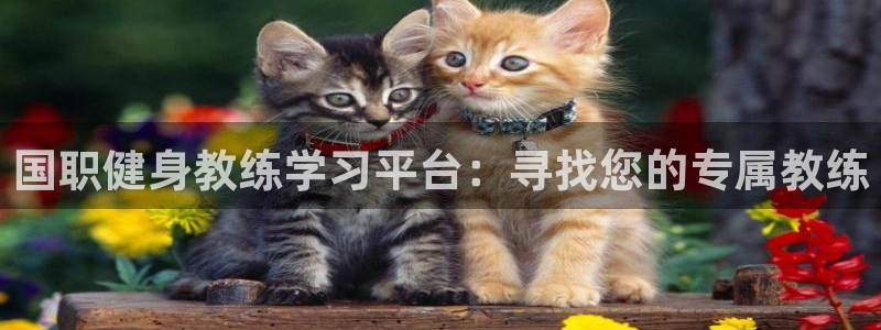 龙8国际唯一登录地址