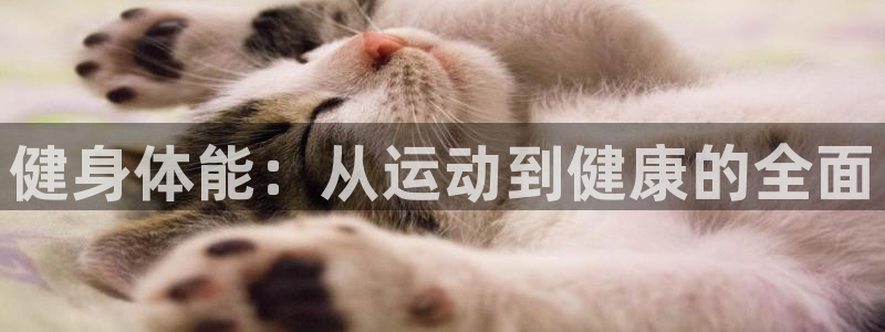 龙8国际唯一登录地址