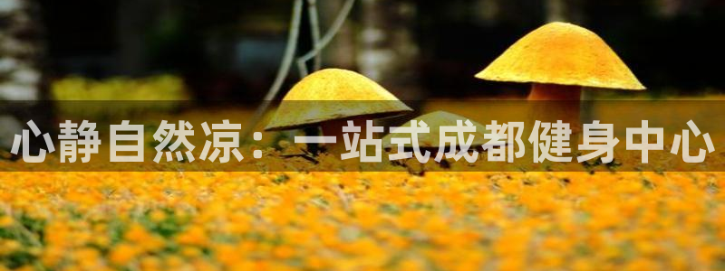 龙8国际唯一登录地址