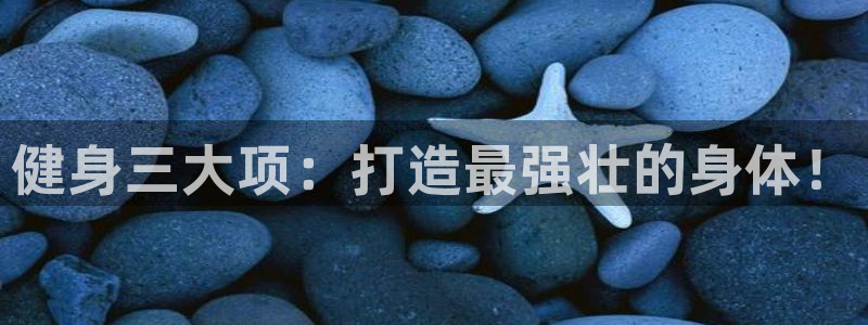 龙8国际老虎机电子