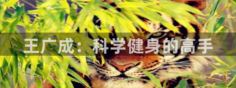 龙8国际平台登录