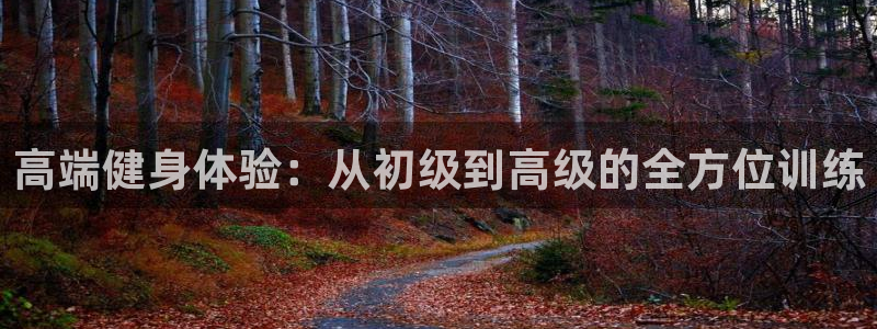 龙8国际老虎机官网