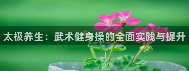 龙8国际官方网站-龙8国际pt老虎机