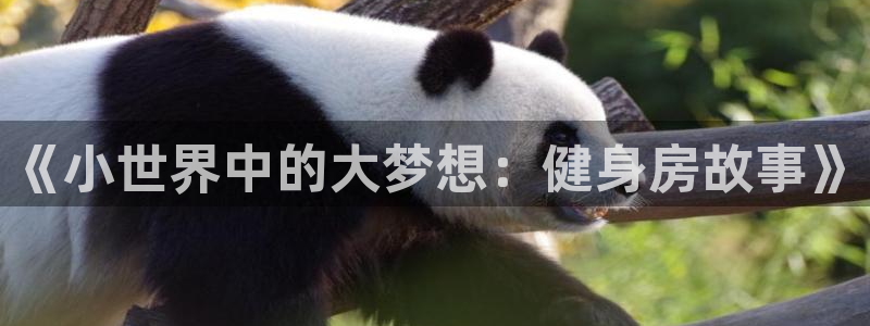 龙八国际app下载客户端