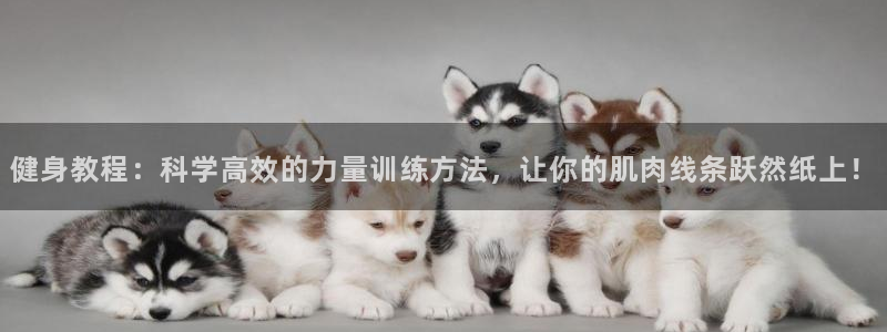 国际龙8官方网站