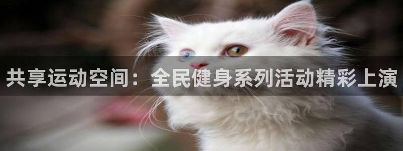 龙8国际平台提款被黑