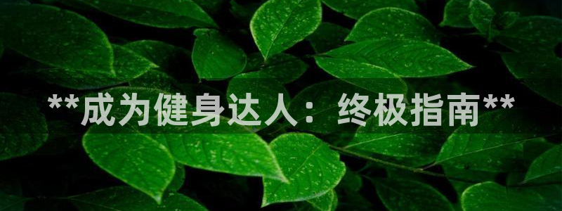 龙八国际登录密码