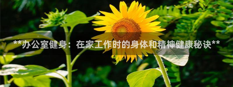 龙8国际官方网址