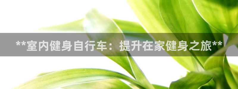 龙8国际龙8客户端