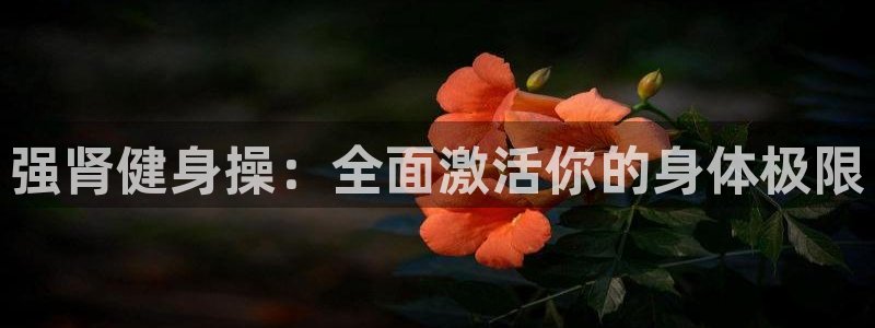 龙8国际官网手机登录